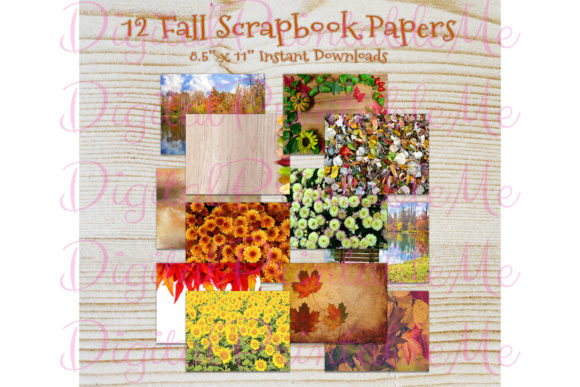 Download Fall Autumn Photo Thanksgiving Paper - Thanksgiving paper Collection